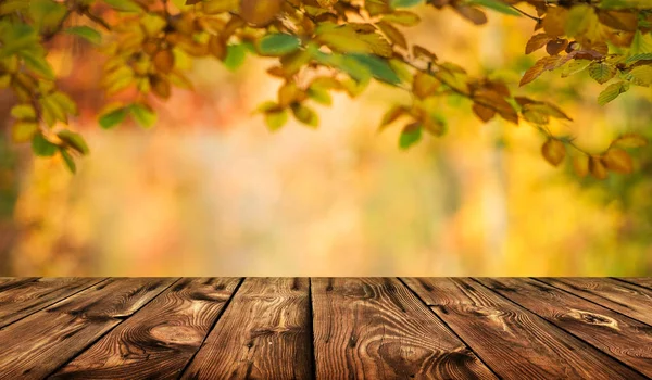 Mesa Vacía Con Fondo Borroso Otoño — Foto de Stock