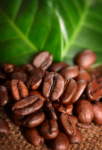 Närbild Bild Kaffebönor Med Gröna Blad — Stockfoto