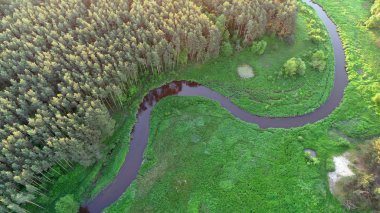 Dron ormandaki güzel nehir ile gelen havadan görünümü