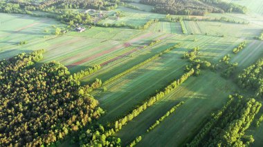 Bahar hava görünümünü peyzaj alanları 