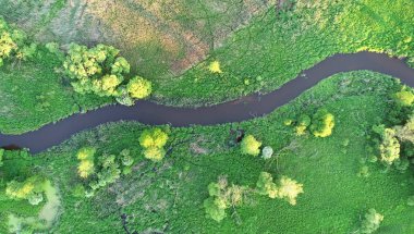 Bahar güzel doğal Nehri'nin havadan görünümü