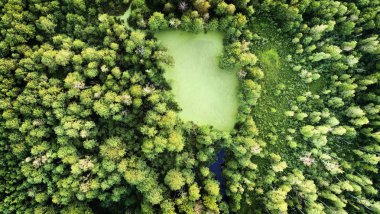 Güzel hava manzara Gölü'nden uçak ile