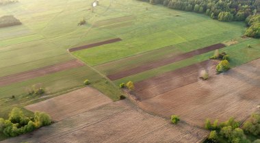 Uçağı alanlardan bahar