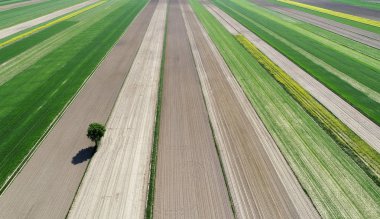 bahar alanlarla uçağı hava ateş