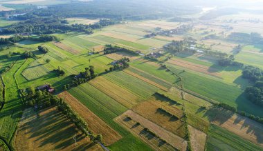 bahar alanlarla uçağı hava ateş