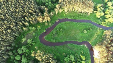 Dron ormandaki güzel nehir ile gelen havadan görünümü