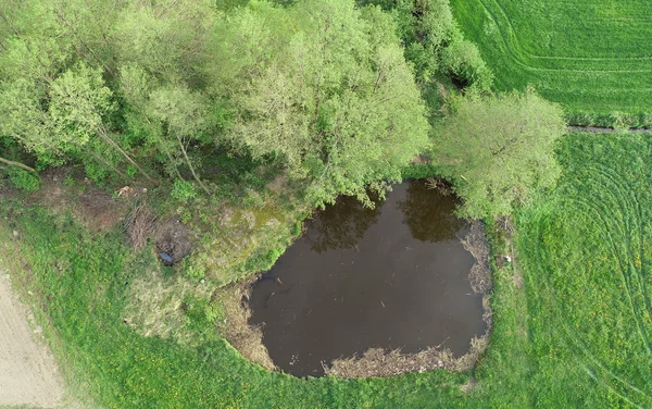 Letecký Pohled Drone Malý Rybník Mezi Jarní Louka — Stock fotografie