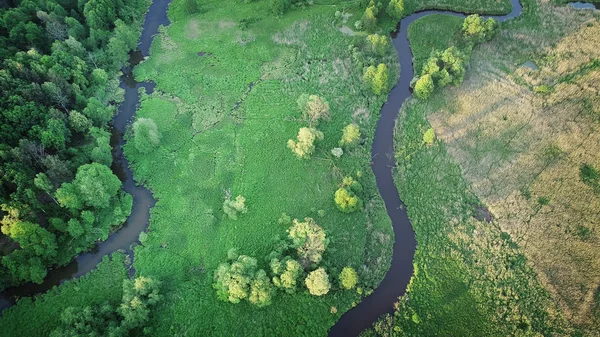 Vista Aérea Desde Dron Con Hermoso Río Bosque —  Fotos de Stock