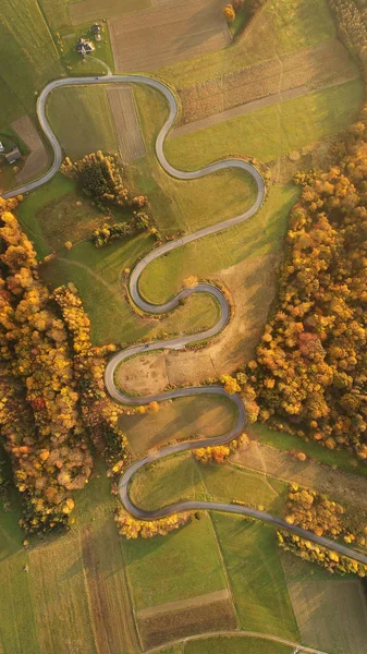 Paisagem Aérea Estrada Ventosa Cenário Outono — Fotografia de Stock