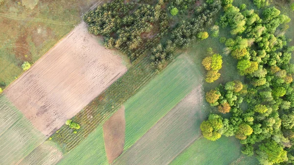 Spring fields from the drone