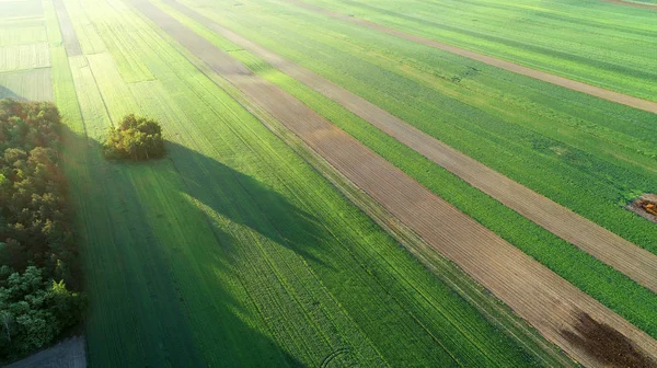 Вид Воздуха Пейзаж Весенних Полей — стоковое фото