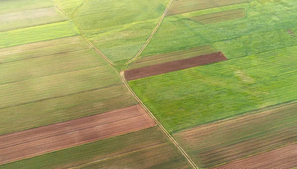 Campos Primavera Drone — Fotografia de Stock