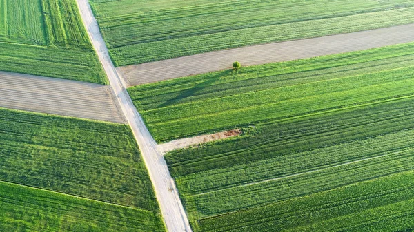 Hava Manzara Yol Alanlar Arasında — Stok fotoğraf