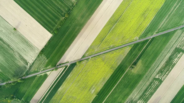 Воздушный Пейзаж Дорогой Между Летними Полями — стоковое фото