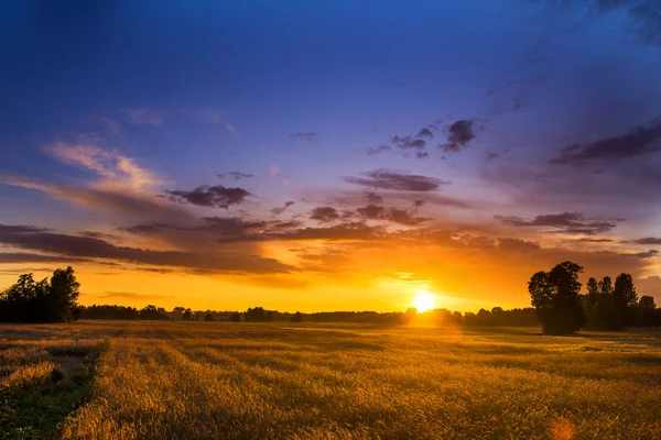 Krásný Letní Západ Slunce Nad Poli — Stock fotografie