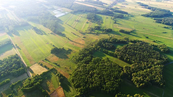 Disparo Aéreo Desde Dron Con Campos Primavera — Foto de Stock