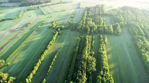 Bahar hava görünümünü peyzaj alanları 