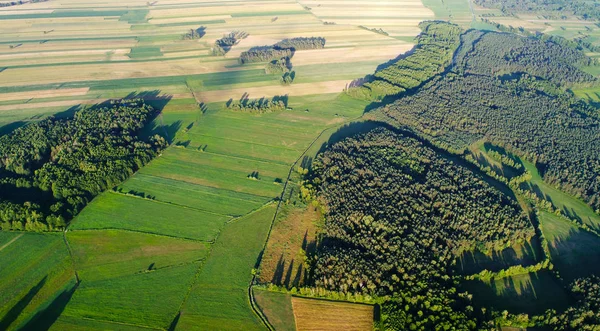 Aerial Shot Drone Spring Fields — Stock Photo, Image