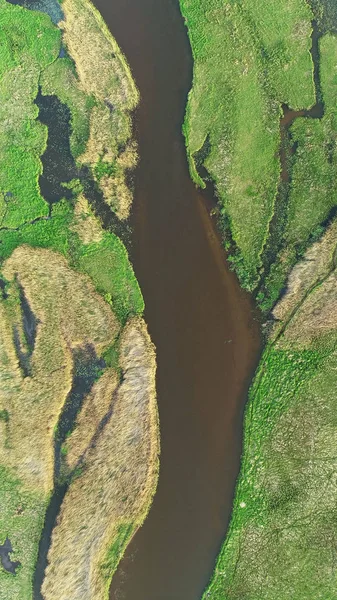 Aerial view of beautiful natural river in spring