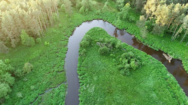 Вид Повітря Дрон Красивою Річкою Лісі — стокове фото