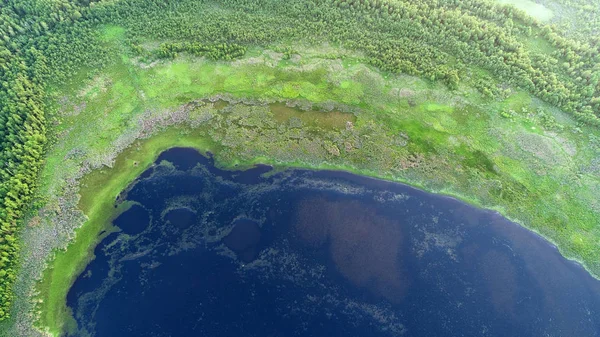 Letecký Pohled Jezero Zeleném Lese — Stock fotografie