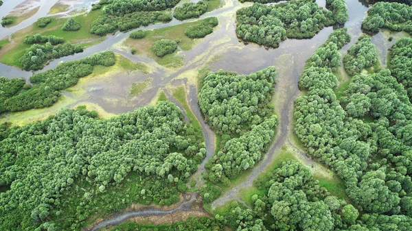 Hermoso Paisaje Aéreo Con Río Natural —  Fotos de Stock