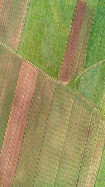 Spring fields from the drone