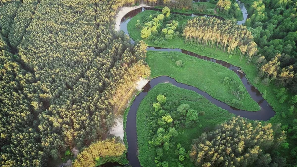 Vista Aérea Desde Dron Con Hermoso Río Bosque —  Fotos de Stock