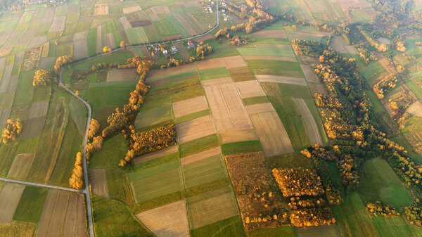 Aerial view of autumn fields at sunrise