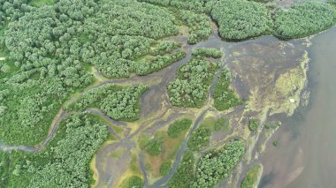 Nehri Deltası drone üzerinden hava manzara