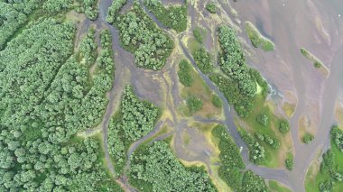 Nehri Deltası drone üzerinden hava manzara