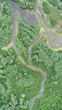 Nehri Deltası drone üzerinden hava manzara