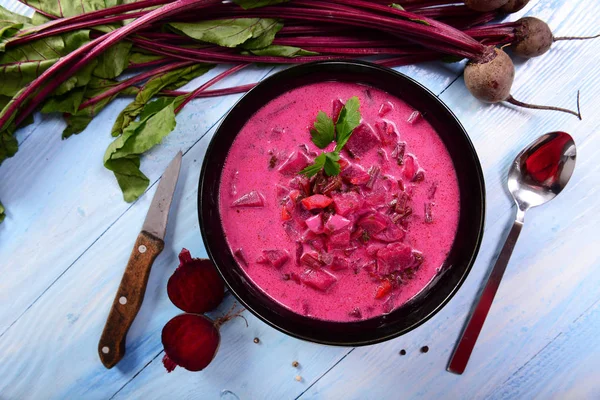 Delicious Homemade Beetroot Creamy Soup — Stock Photo, Image