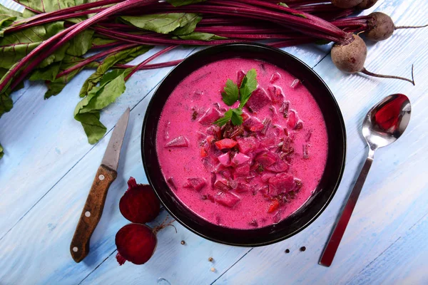 Delicious homemade beetroot creamy soup — Stock Image Delicious Homemade Beetroot Creamy Soup Stock Picture