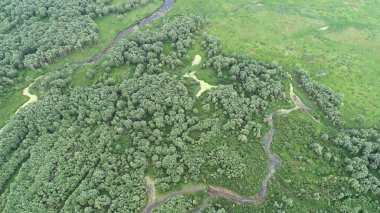Doğal nehir manzara havadan görünümü 