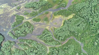 Nehri Deltası drone üzerinden hava manzara