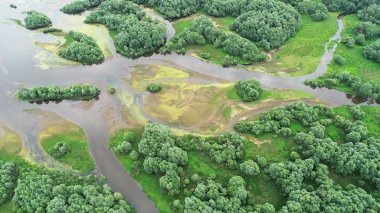 Doğal nehir manzara havadan görünümü 