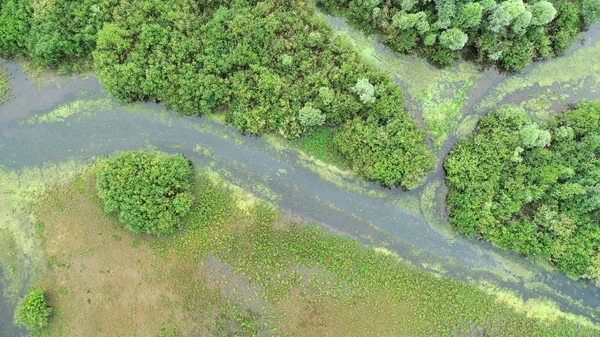 Вид Повітря Природний Річковий Пейзаж — стокове фото