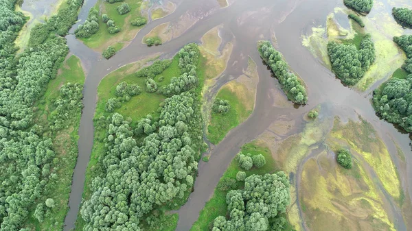 Paisaje Aéreo Desde Dron Del Delta Del Río —  Fotos de Stock