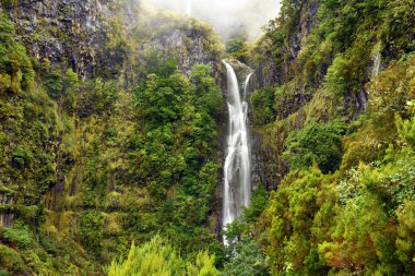 Madeira Adası'nda güzel Risco şelale