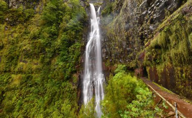 Madeira Adası'nda güzel Risco şelale