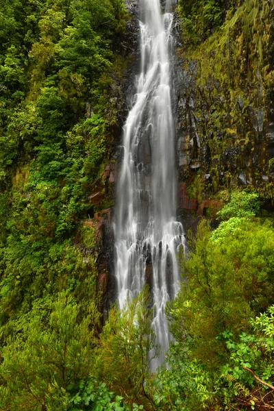 Madeira Sziget Gyönyörű Risco Vízesés — Stock Fotó