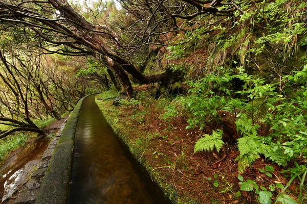 Wunderschöne Landschaft Der Insel Madeira Levada Pfad — Stockfoto