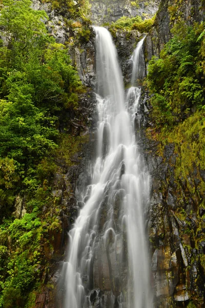 Beautiful Risco Waterfall Madeira Island — Stock Photo, Image