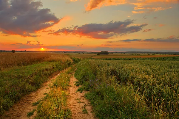 Beautiful Summer Sunset Rural Landscape — Stock Photo, Image