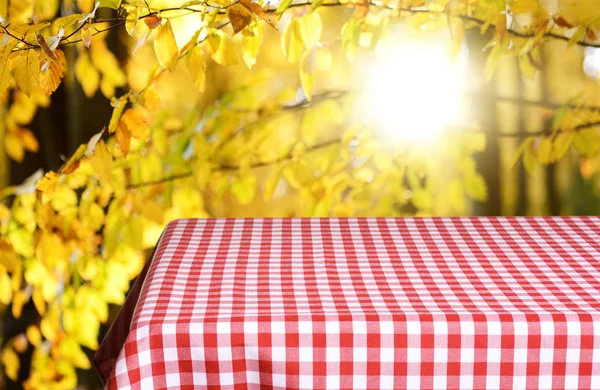 Empty Checkered Table Background — Stock Photo, Image