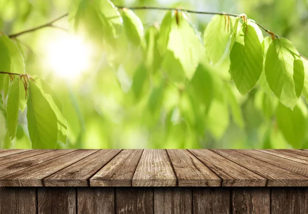 Sfondo Tavolo Vuoto Legno — Foto Stock