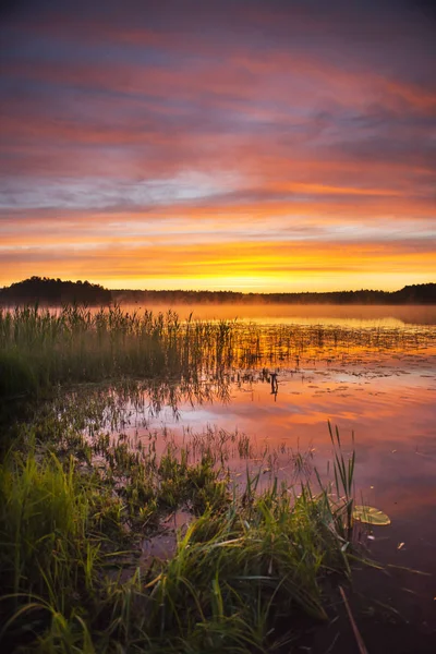 Summer Sunrise Lake Poland — Stock Photo, Image