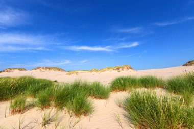 Dunes - Slowinski Milli Parkı, Polonya biçme