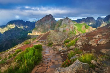 Madeira ada dağlarının manzarası